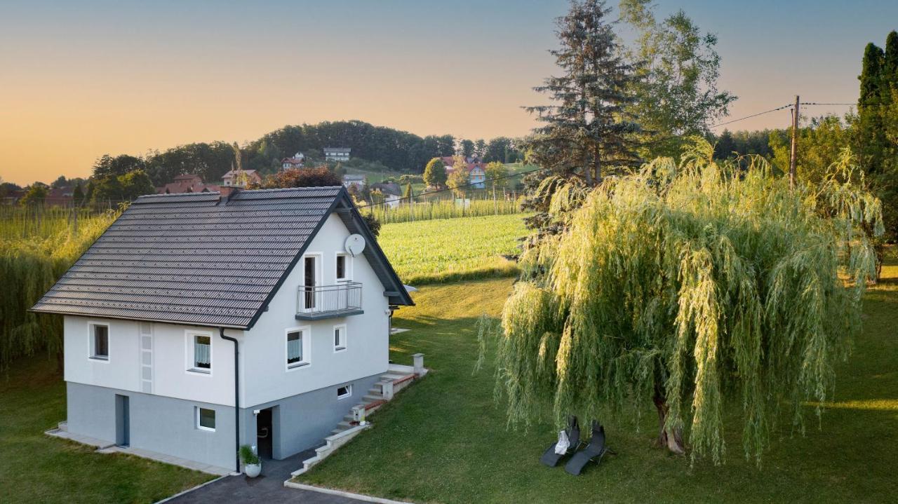 Ferienhaus Treissmann An Der Weinstrasse Leutschach Ngoại thất bức ảnh