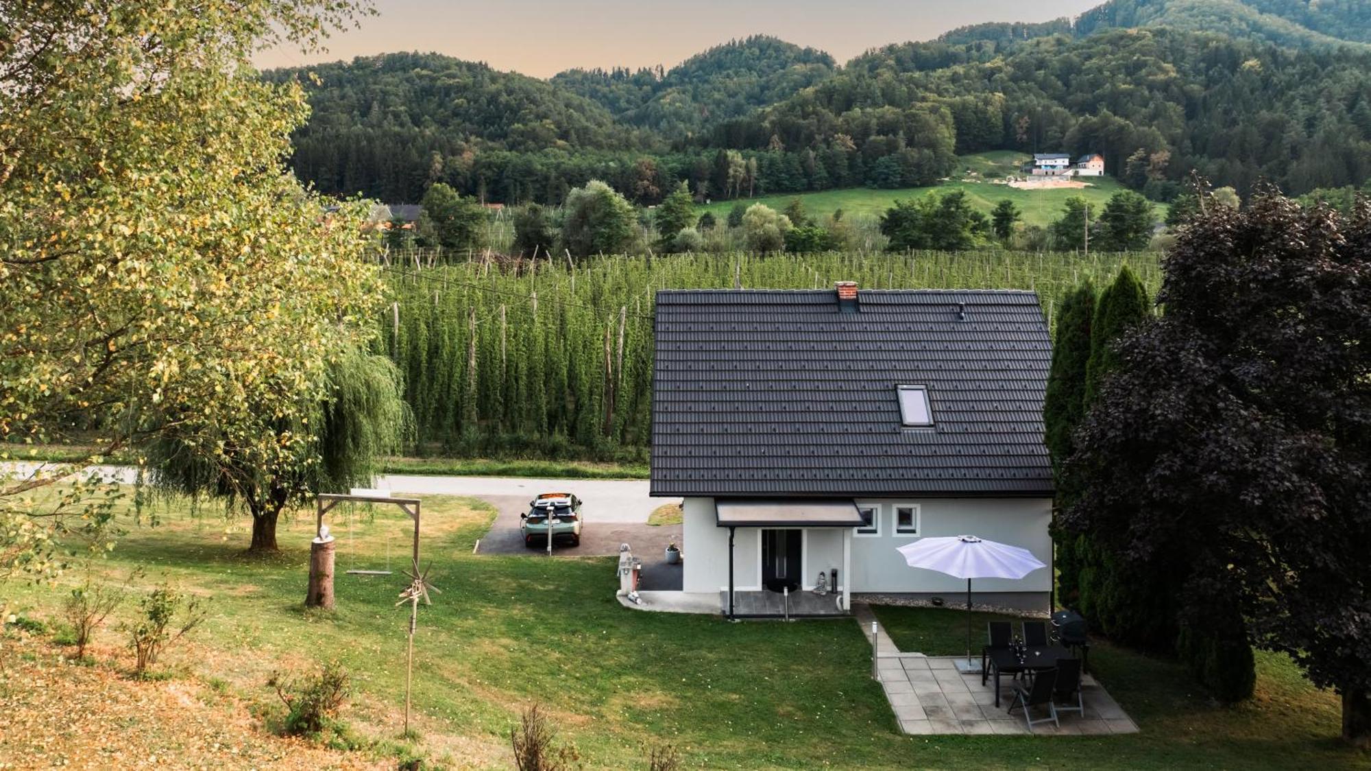 Ferienhaus Treissmann An Der Weinstrasse Leutschach Ngoại thất bức ảnh